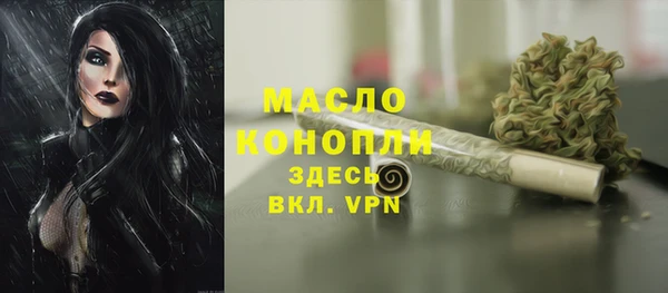 шишки Снежногорск